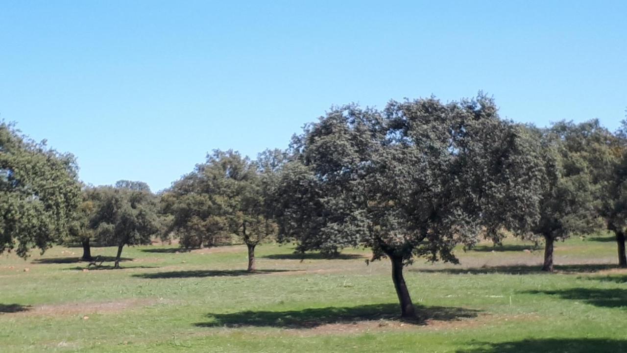 Villa Maria Vilches Εξωτερικό φωτογραφία