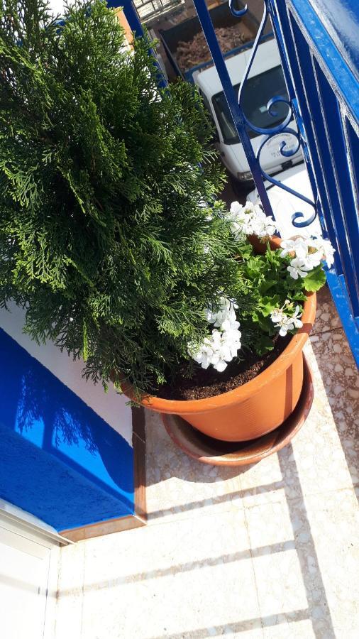 Villa Maria Vilches Εξωτερικό φωτογραφία